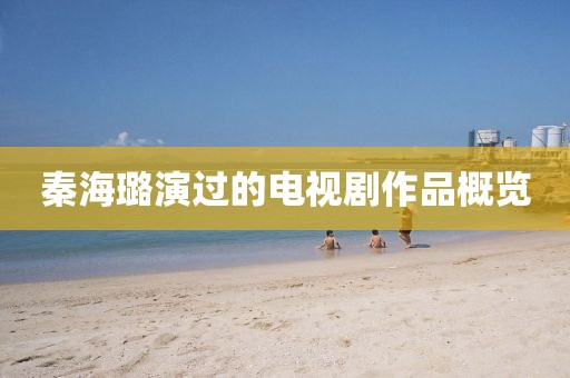 秦海璐演過的電視劇作品概覽