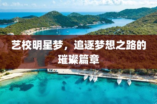 藝校明星夢，追逐夢想之路的璀璨篇章
