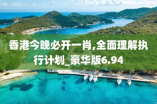 香港今晚必開一肖,全面理解執行計劃_豪華版6.94