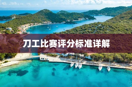 刀工比賽評分標準詳解