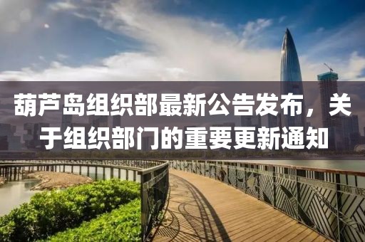 葫蘆島組織部最新公告發布，關于組織部門的重要更新通知