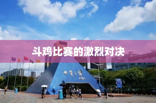 斗雞比賽的激烈對決