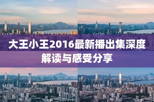 大王小王2016最新播出集深度解讀與感受分享