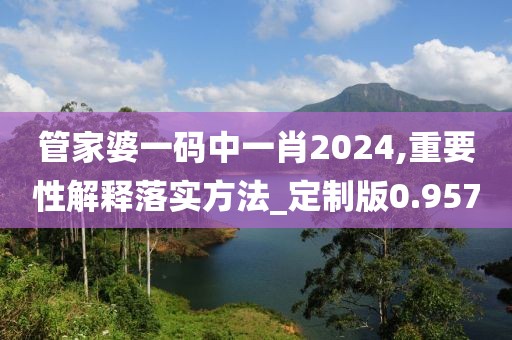 管家婆一碼中一肖2024,重要性解釋落實方法_定制版0.957