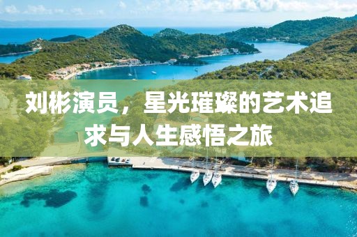 劉彬演員，星光璀璨的藝術追求與人生感悟之旅