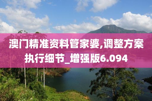 澳門精準資料管家婆,調整方案執行細節_增強版6.094