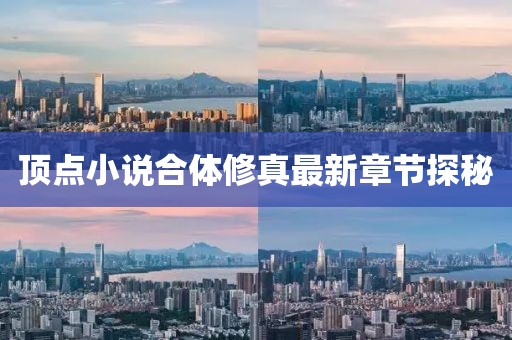 頂點小說合體修真最新章節探秘