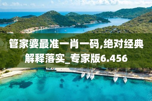 管家婆最準一肖一碼,絕對經典解釋落實_專家版6.456