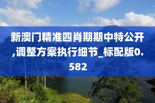 新澳門精準四肖期期中特公開,調整方案執行細節_標配版0.582