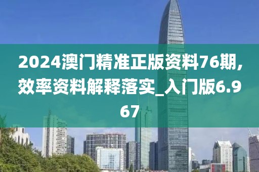 2024澳門精準正版資料76期,效率資料解釋落實_入門版6.967