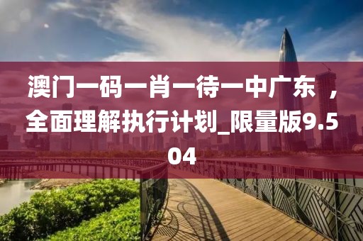 澳門一碼一肖一待一中廣東  ,全面理解執行計劃_限量版9.504