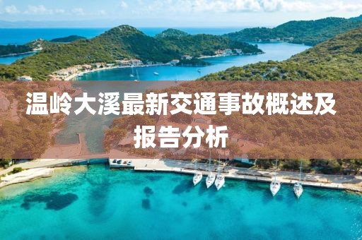 溫嶺大溪最新交通事故概述及報告分析