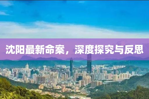 沈陽最新命案，深度探究與反思