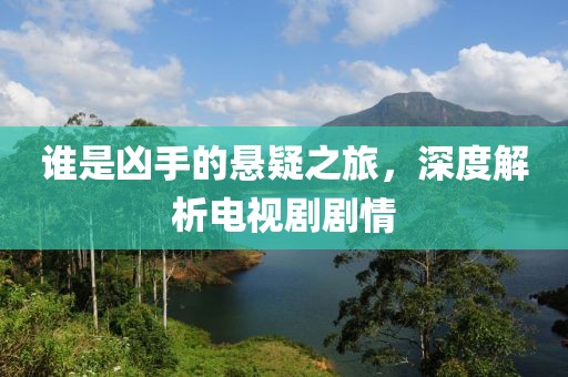 誰是兇手的懸疑之旅，深度解析電視劇劇情