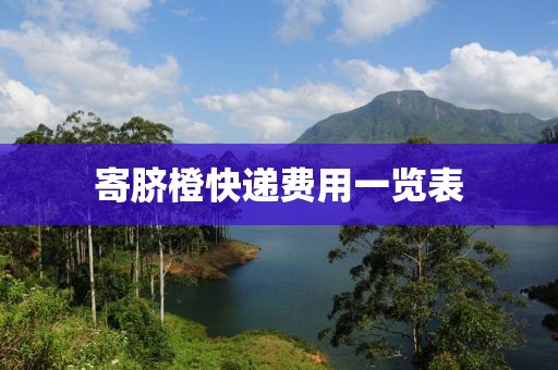 寄臍橙快遞費用一覽表