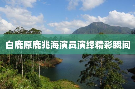 白鹿原鹿兆海演員演繹精彩瞬間