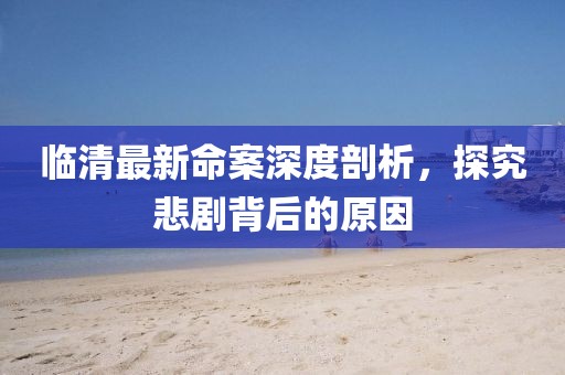 臨清最新命案深度剖析，探究悲劇背后的原因