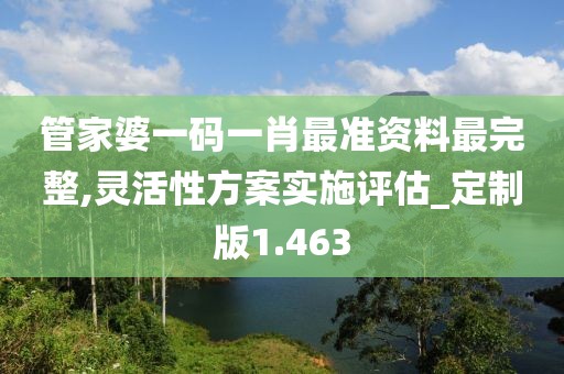 管家婆一碼一肖最準資料最完整,靈活性方案實施評估_定制版1.463
