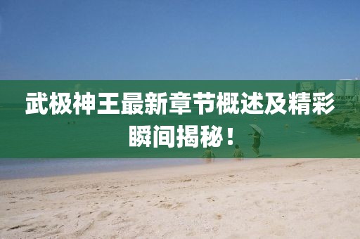 武極神王最新章節概述及精彩瞬間揭秘！