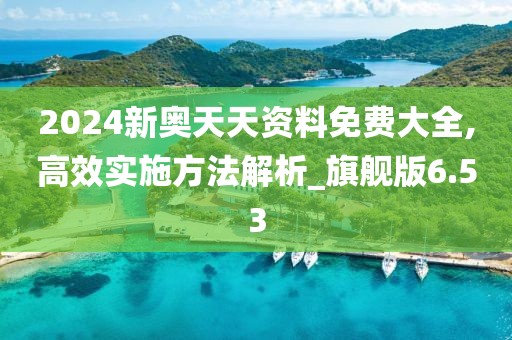 2024新奧天天資料免費大全,高效實施方法解析_旗艦版6.53