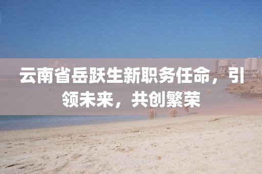 云南省岳躍生新職務任命，引領未來，共創繁榮