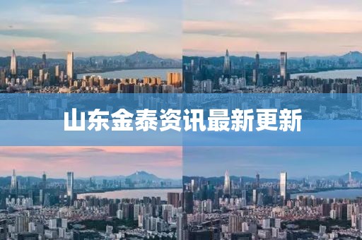 山東金泰資訊最新更新