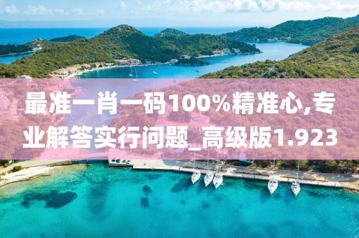 最準一肖一碼100%精準心,專業解答實行問題_高級版1.923