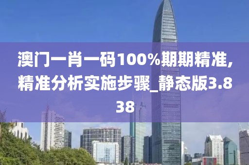 澳門一肖一碼100%期期精準,精準分析實施步驟_靜態版3.838