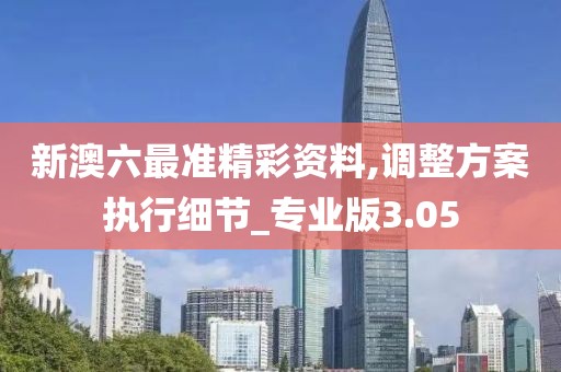 新澳六最準精彩資料,調整方案執行細節_專業版3.05