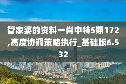 管家婆的資料一肖中特5期172,高度協調策略執行_基礎版6.532