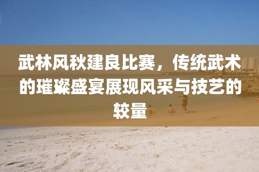 武林風秋建良比賽，傳統武術的璀璨盛宴展現風采與技藝的較量