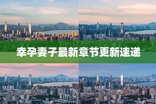 幸孕妻子最新章節更新速遞