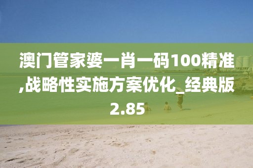 澳門管家婆一肖一碼100精準,戰略性實施方案優化_經典版2.85