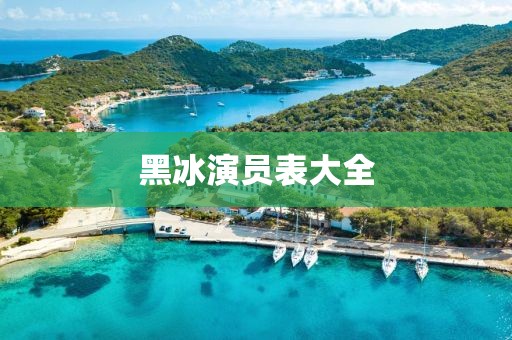 黑冰演員表大全