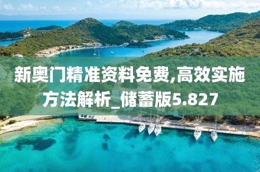 新奧門精準資料免費,高效實施方法解析_儲蓄版5.827
