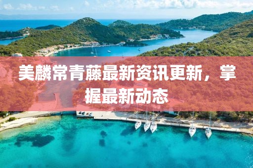 美麟常青藤最新資訊更新，掌握最新動態