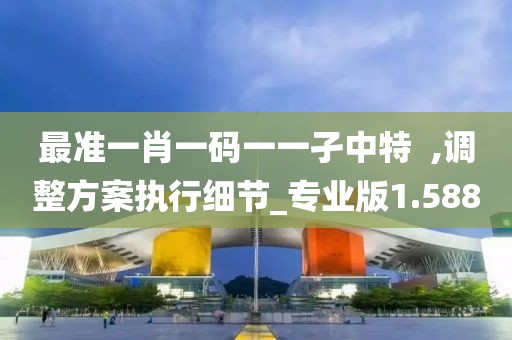 最準一肖一碼一一孑中特  ,調整方案執行細節_專業版1.588