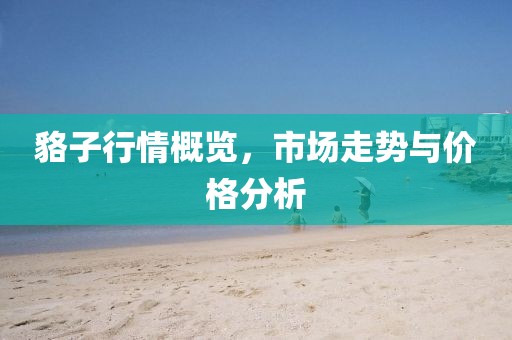 貉子行情概覽，市場走勢與價格分析