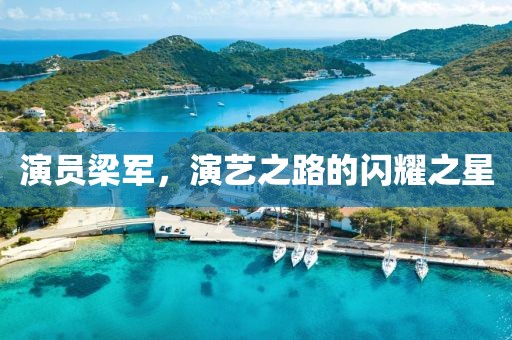 演員梁軍，演藝之路的閃耀之星