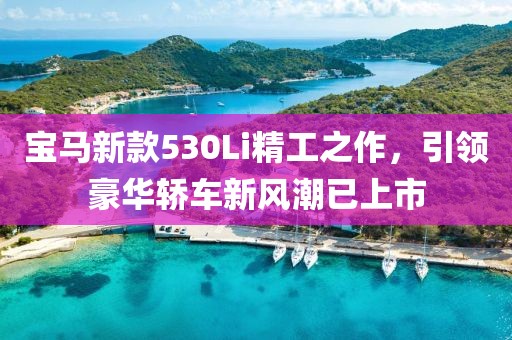 寶馬新款530Li精工之作，引領豪華轎車新風潮已上市