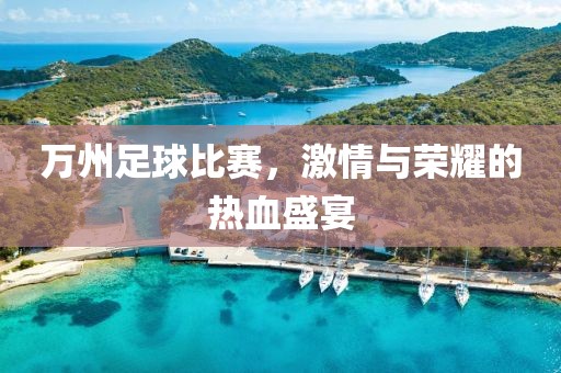 萬州足球比賽，激情與榮耀的熱血盛宴