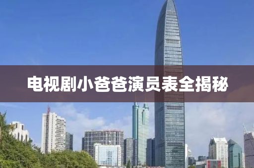電視劇小爸爸演員表全揭秘