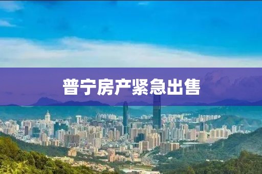 普寧房產緊急出售