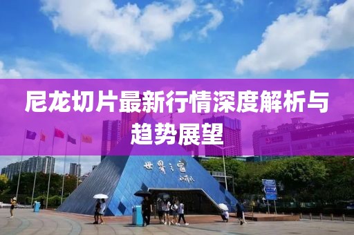 尼龍切片最新行情深度解析與趨勢展望
