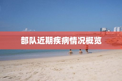 部隊近期疾病情況概覽