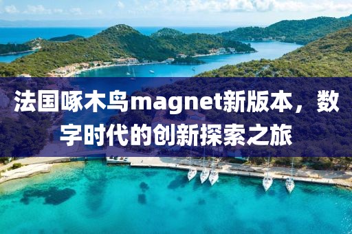 法國啄木鳥magnet新版本，數字時代的創新探索之旅