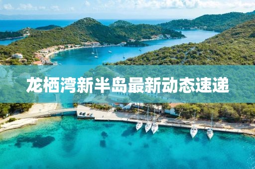 暴走的兔子 第4頁