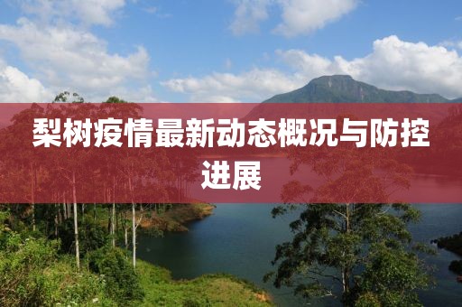梨樹疫情最新動態概況與防控進展