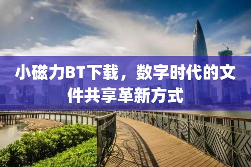 小磁力BT下載，數字時代的文件共享革新方式