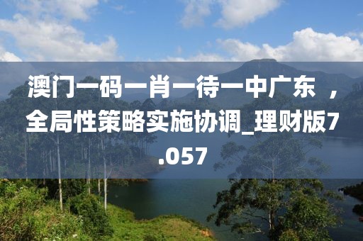 澳門一碼一肖一待一中廣東  ,全局性策略實施協調_理財版7.057